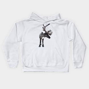 Santa Claus Reindeer Kids Hoodie